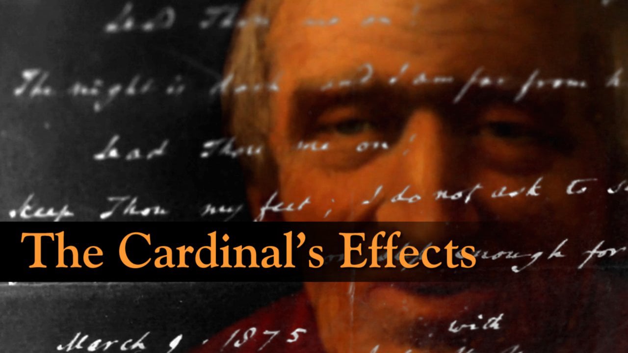 The Cardinal's Effects on Vimeo