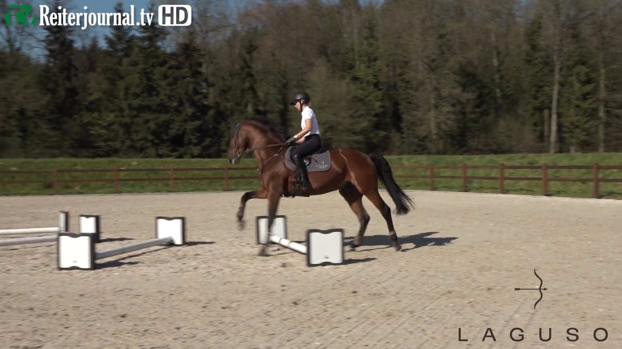 Quarantäne-Training mit Kalli Streng und Tina Deuerer - Teil 1 - präsentiert von LAGUSO