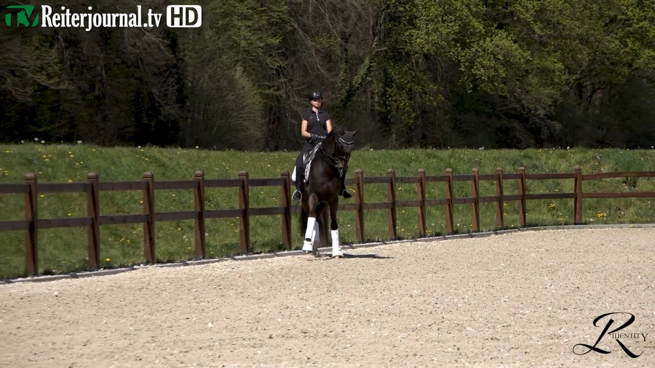 Quarantäne-Training mit Katrin Burger - Teil 1 - präsentiert von RIDENTITY