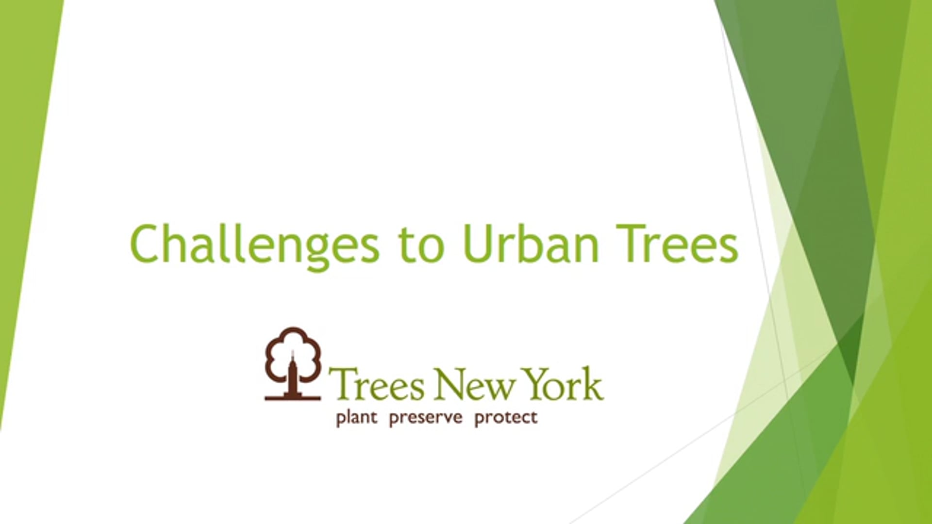 Street Tree Challenges
