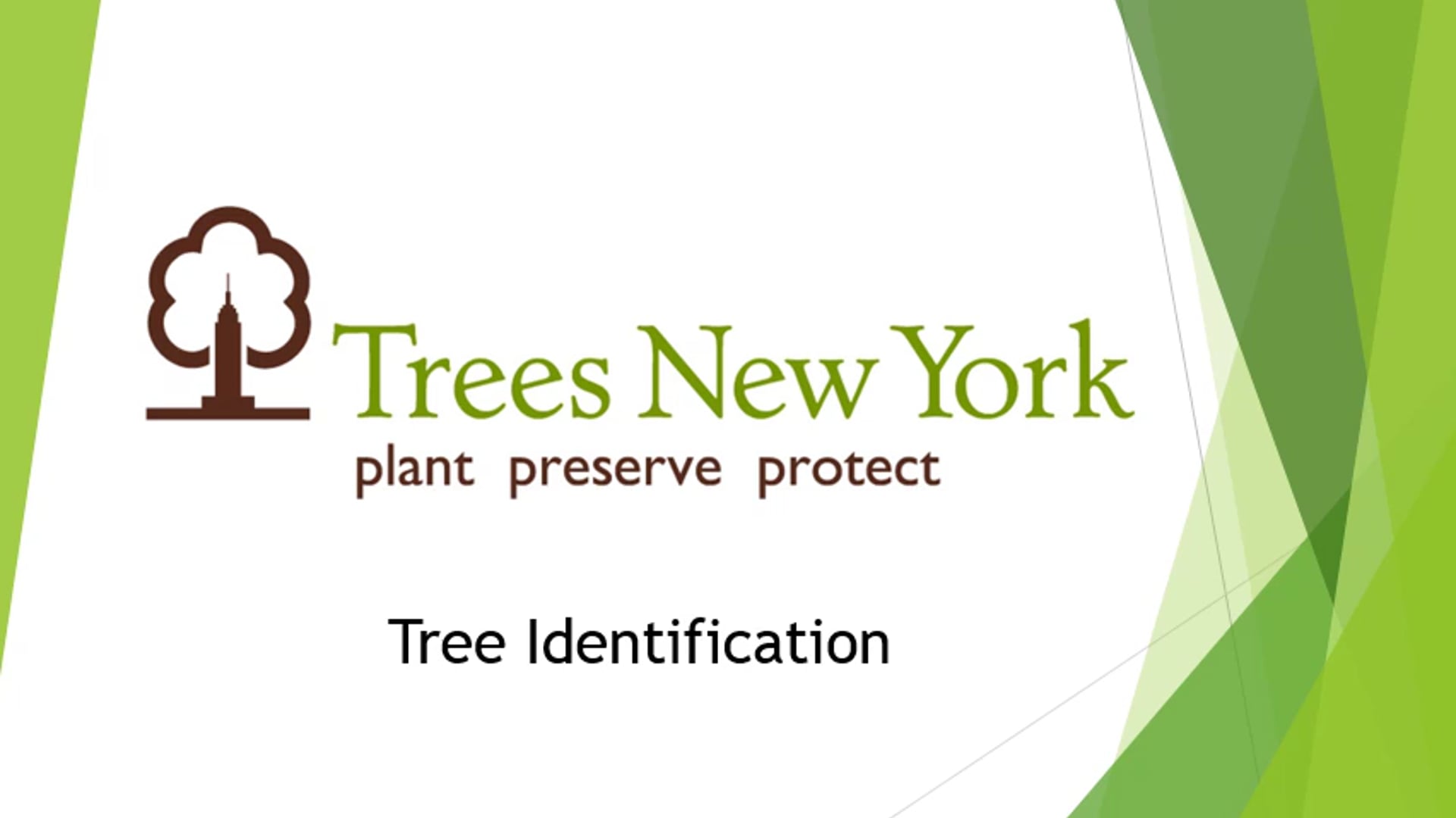 Street Tree Identification
