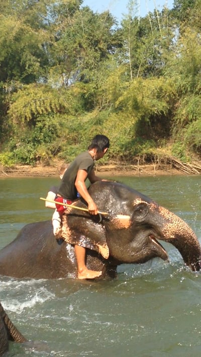 Eric taking a ride on Bertha the Elephant - Thailand