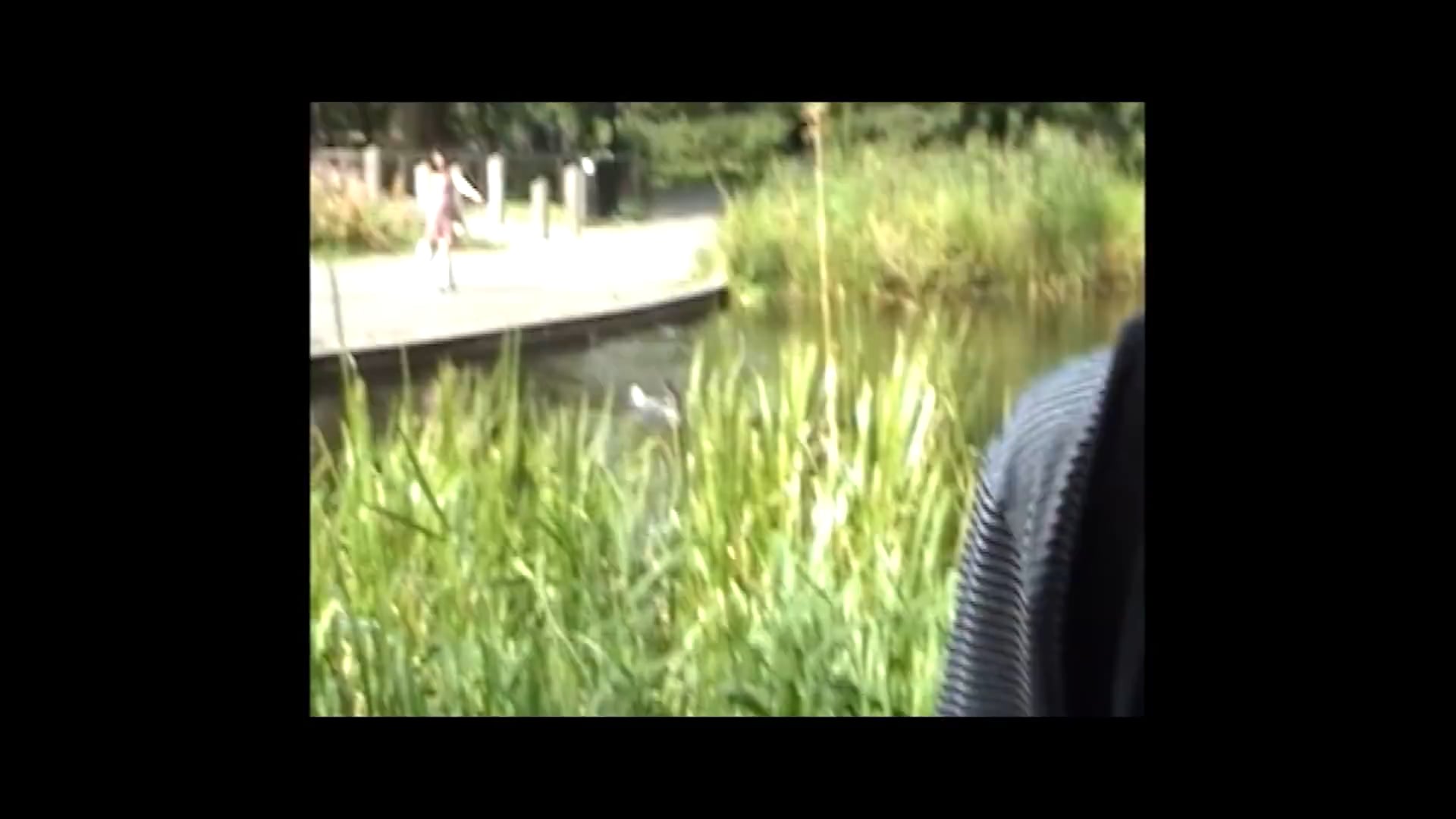 Pride and Pack: Pack Of Wolves-Short Film-INT