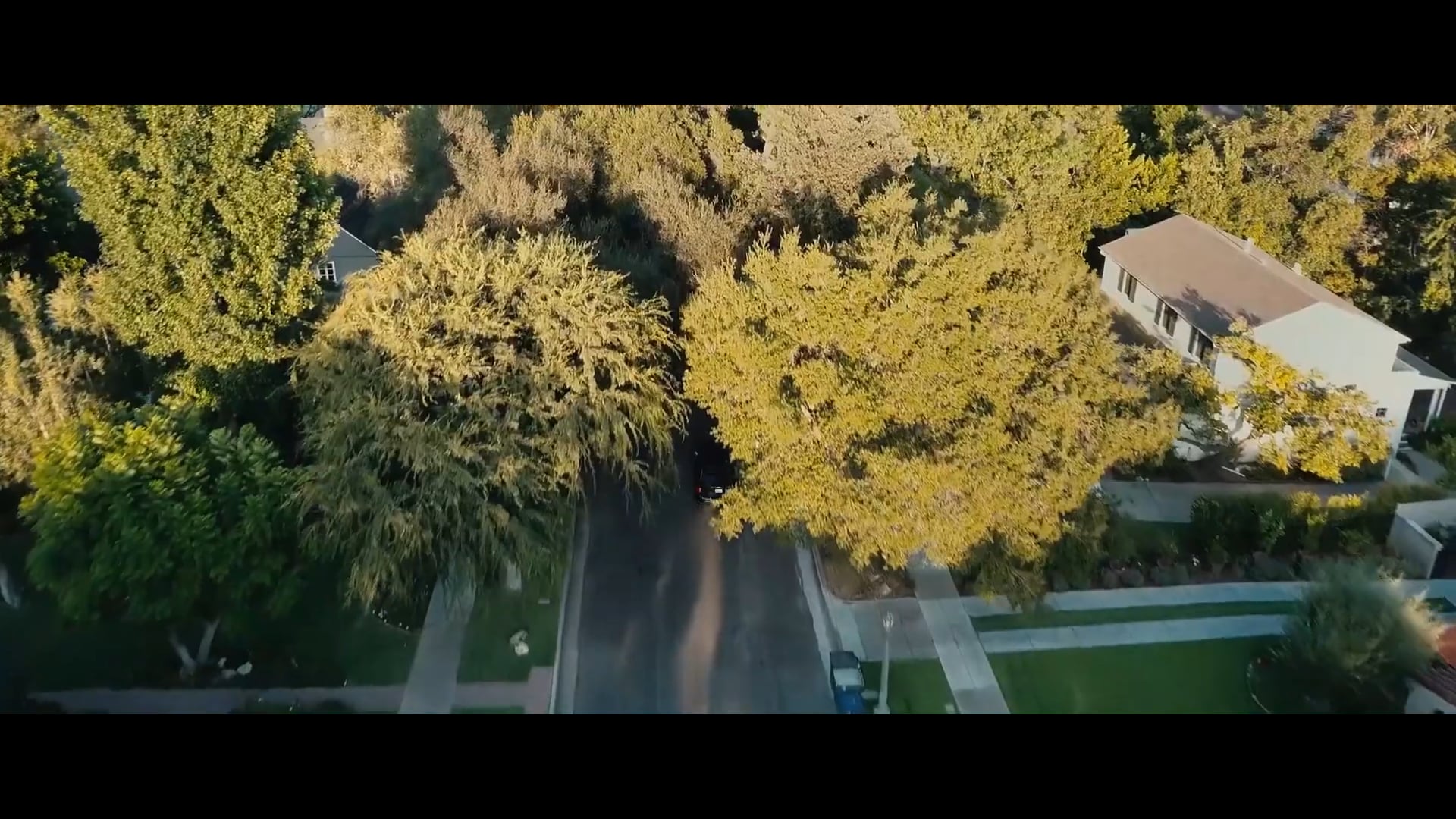 Seize-Short Film-INT