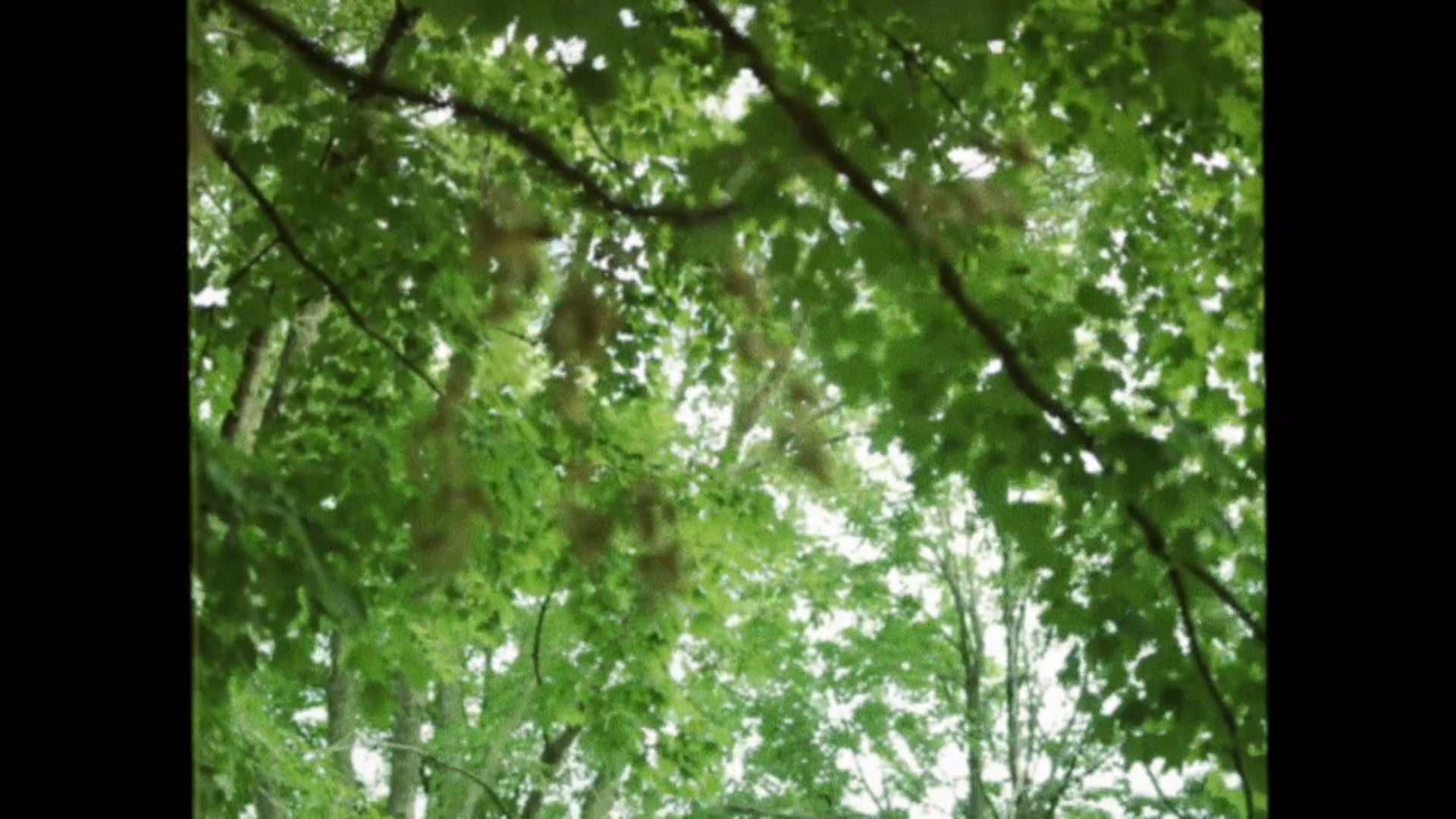before this - 2019 reel