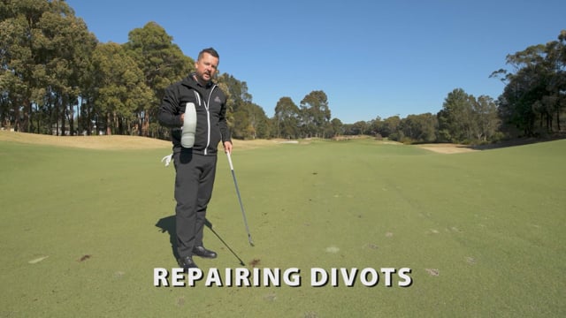 Repairing Divots
