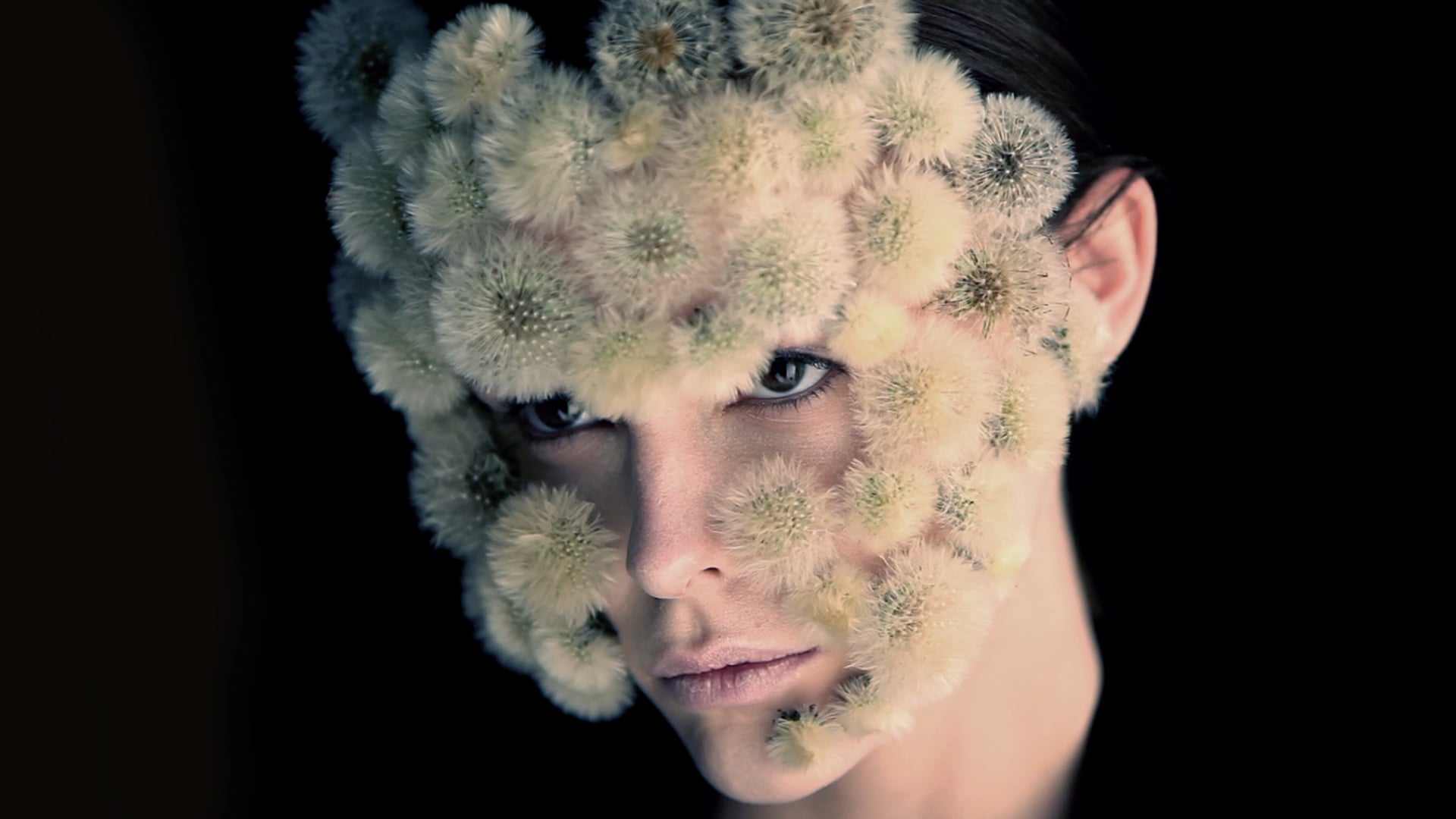 Isabelle Chapuis - Dandelion | La Galerie