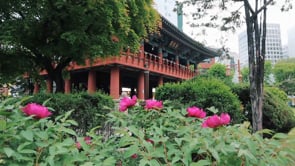 Korean Culture
