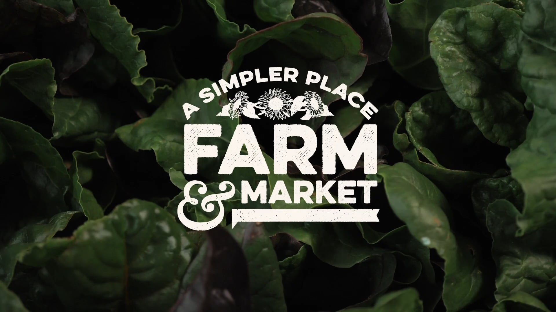 A Simpler Place Farm & Market | Field Trips
