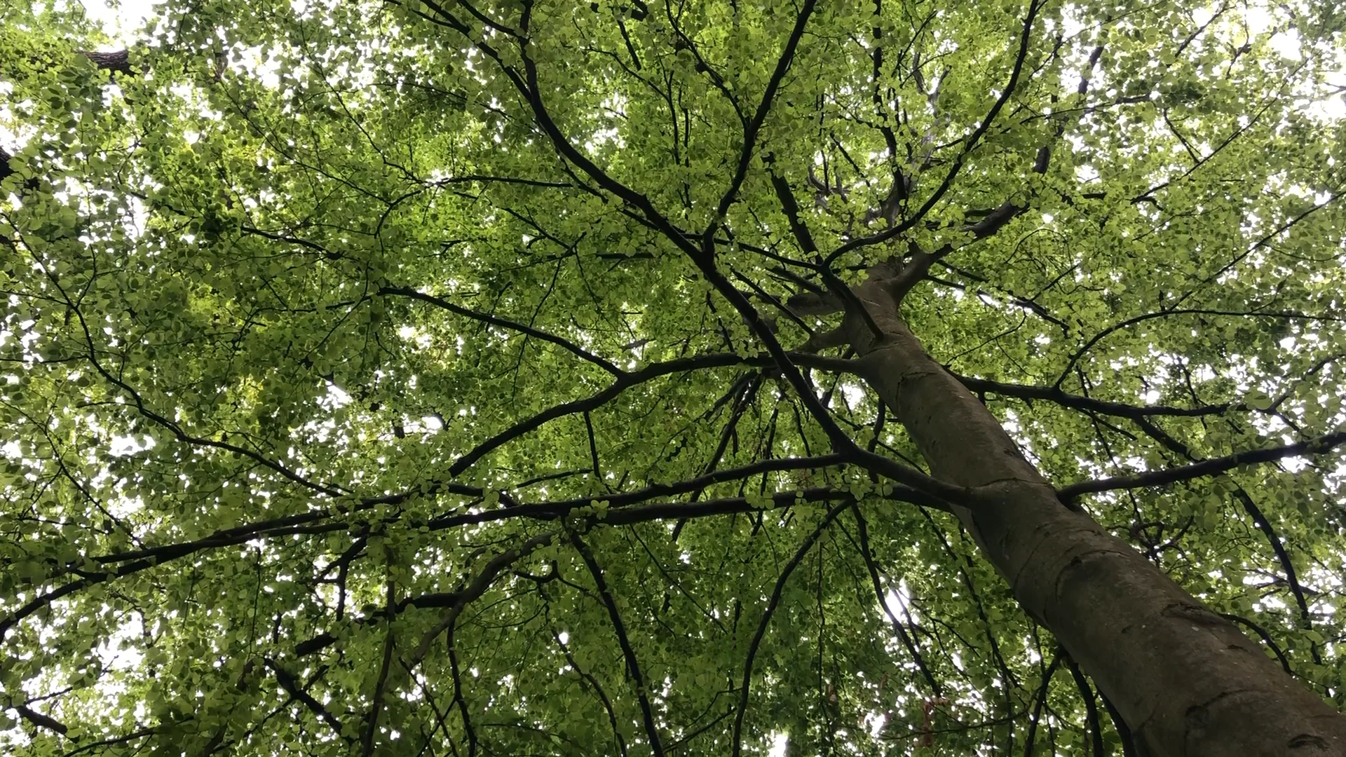 TakeAMinute_21