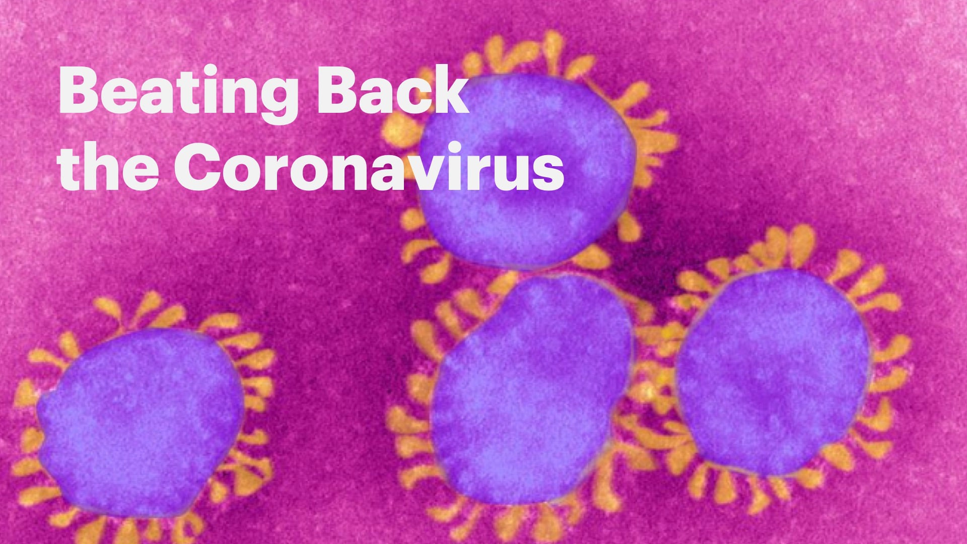 Beating Back the Coronavirus