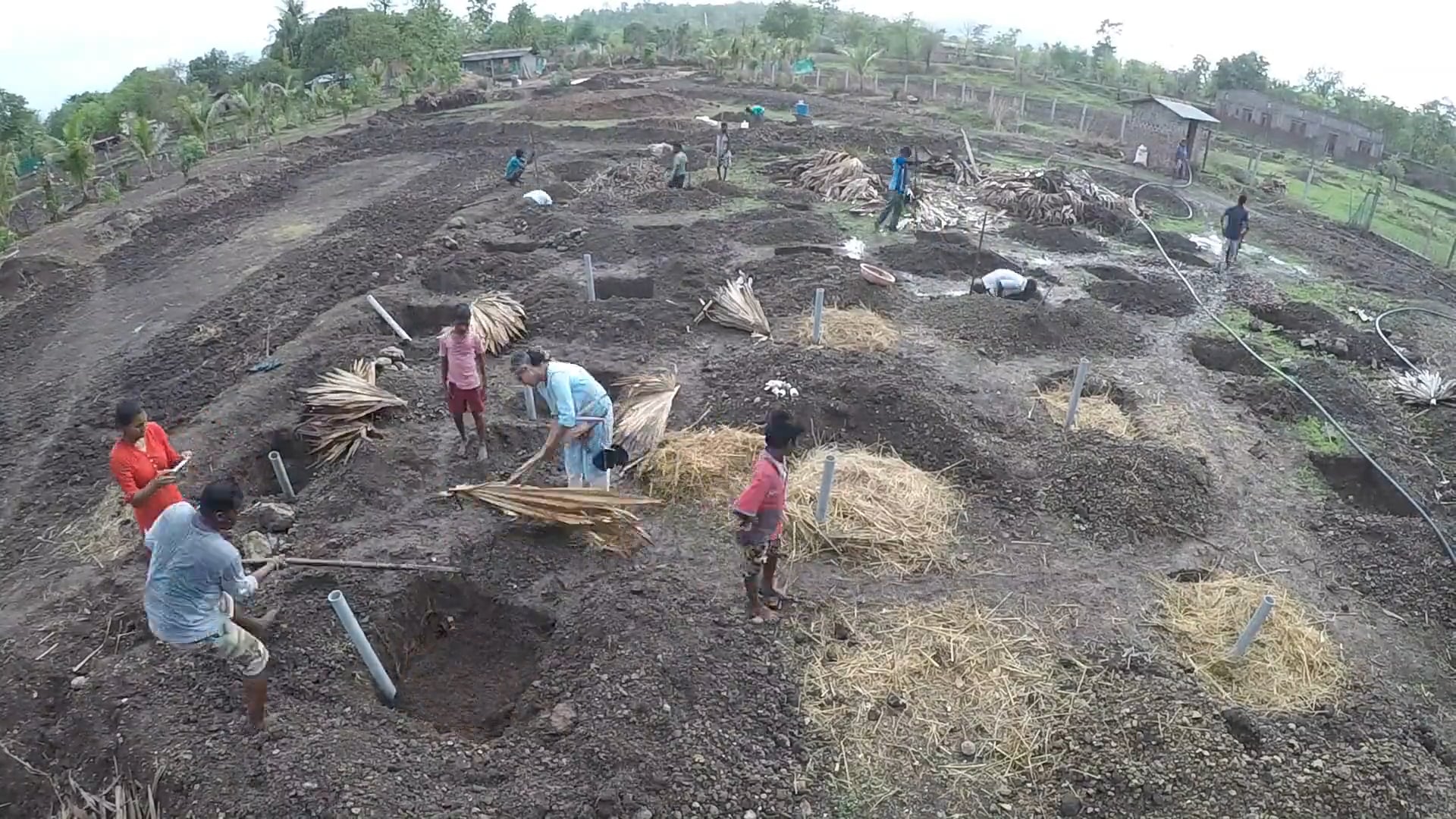 Tree Pit digging