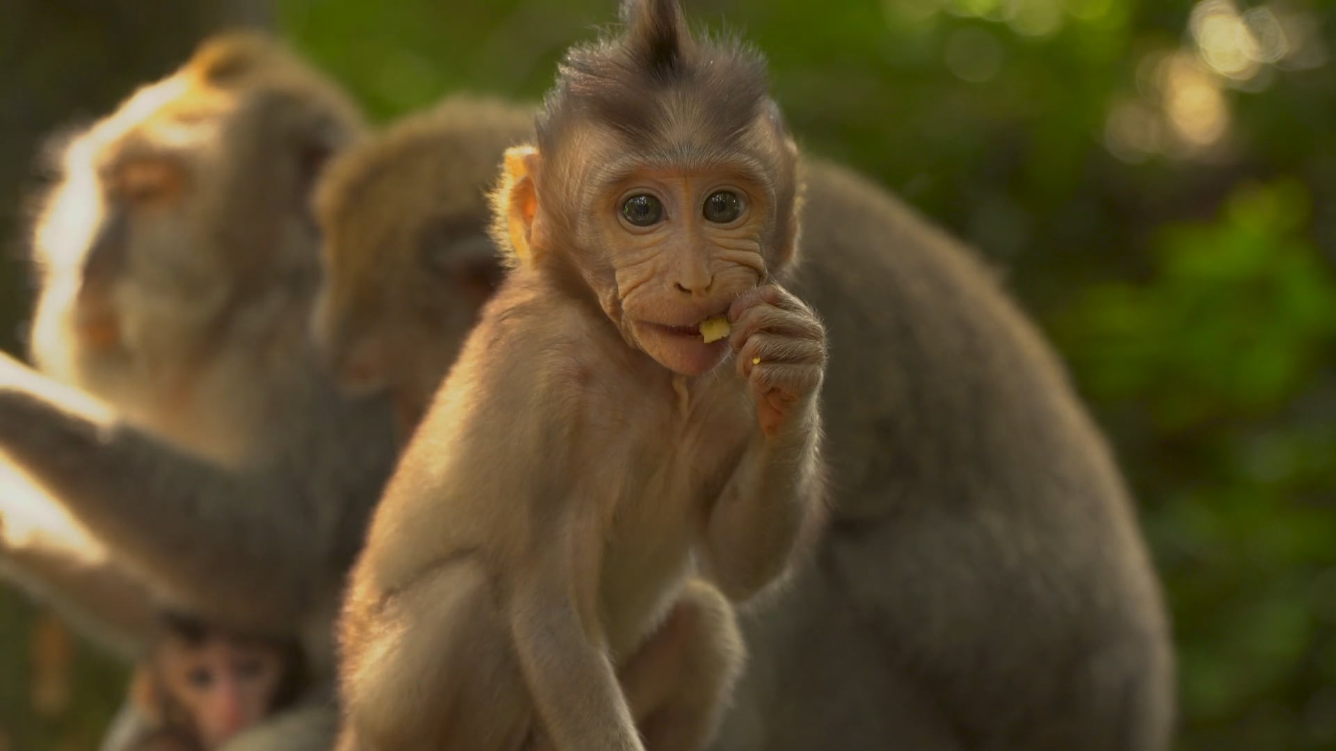 Travel/Documentary Showreel