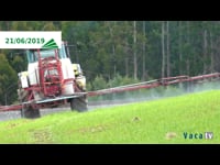 Situación en el momento de aplicación de los productos