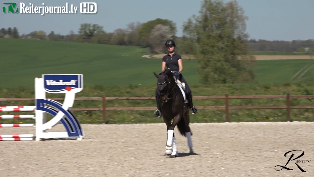 Quarantäne-Training mit Katrin Burger - Teil 2 - präsentiert von RIDENTITY