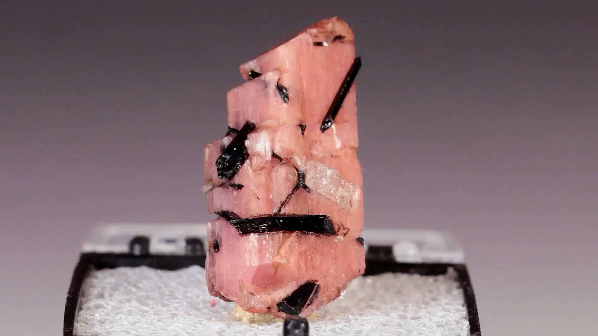 Vimeo Thumbnail