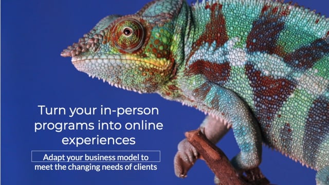 Turn your live training sessions into online experiences