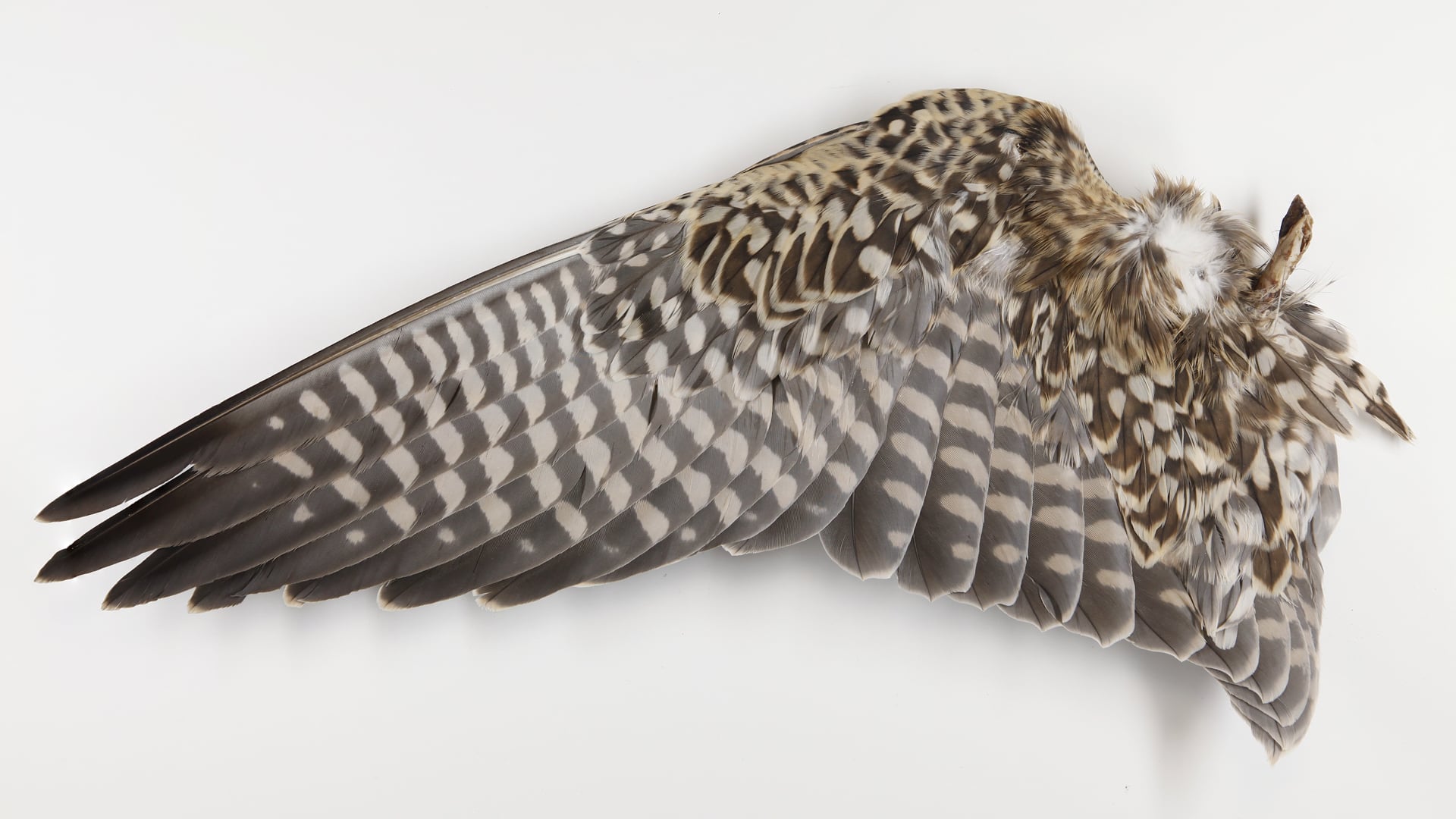 Energetic Vessels: Flow-Through Transformation