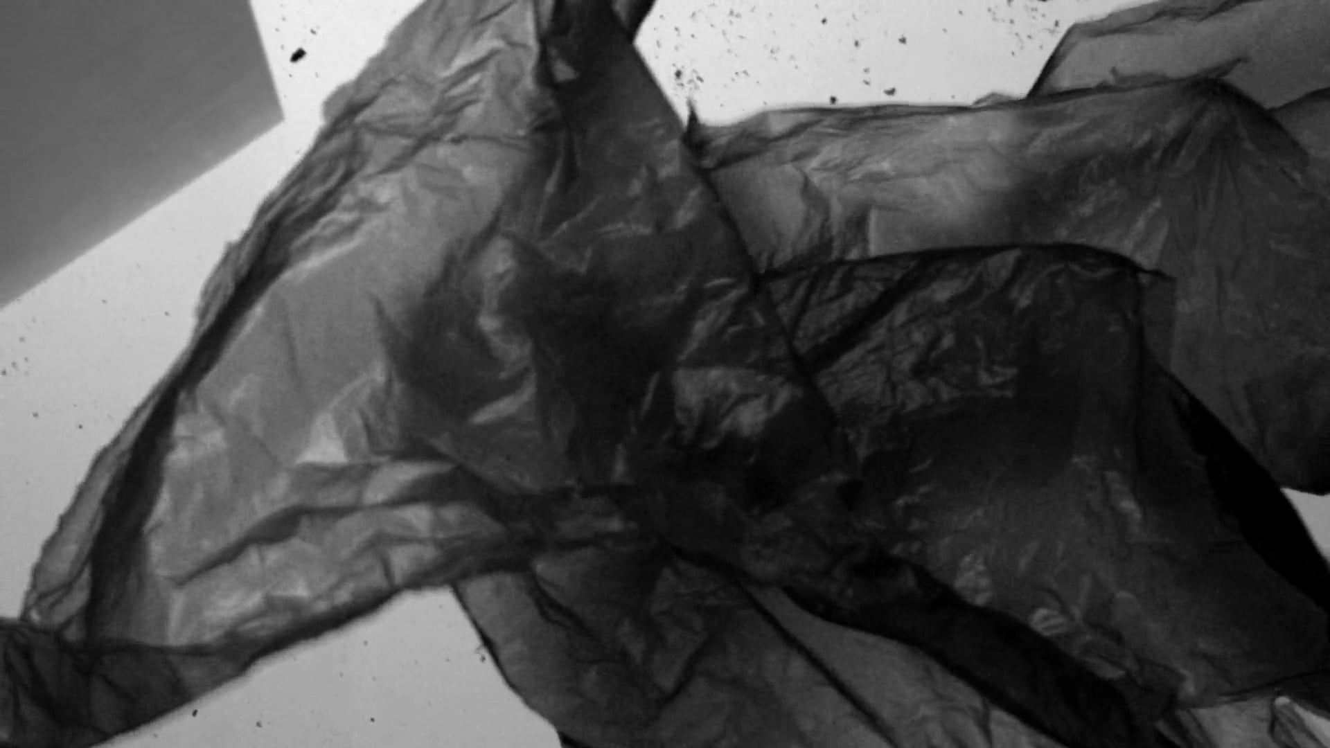 There Are Birds Here | Poem by Jamaal May | Film by USC