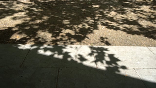 maestoso, adagietto sombreoso