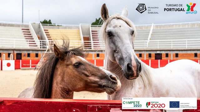 Sabugal_Turismo de Portugal