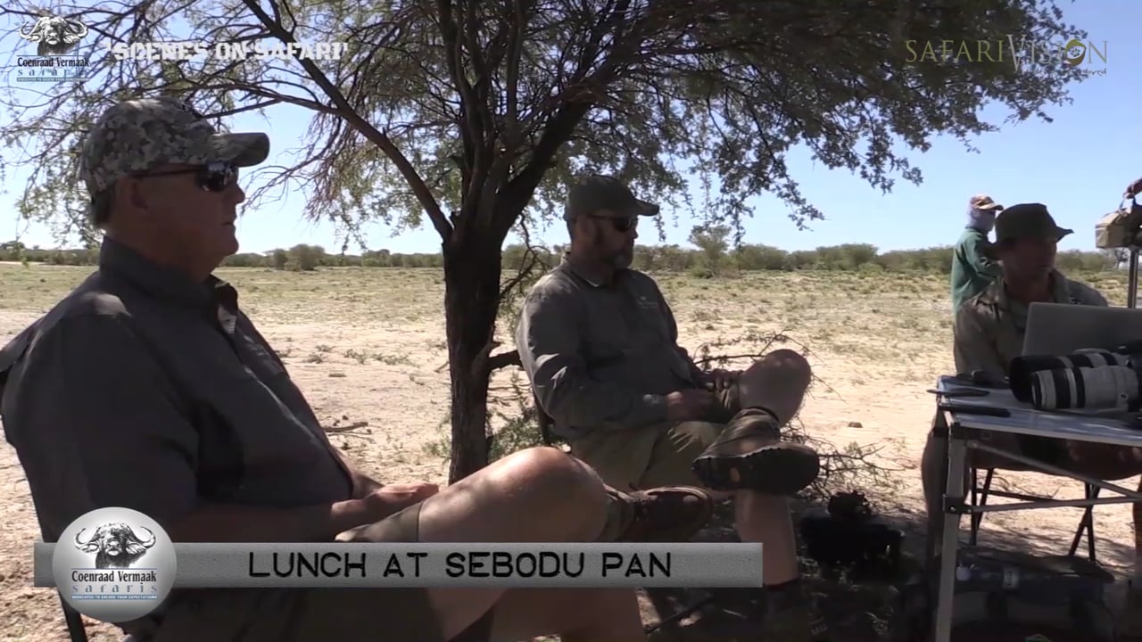 Sightings and Rhino Close up