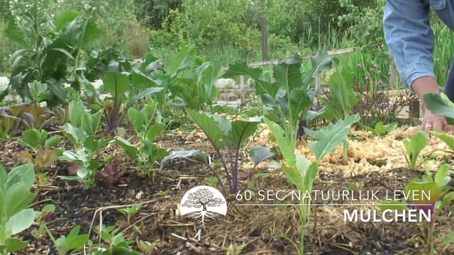 60 sec Natuurlijk Leven – Mulchen