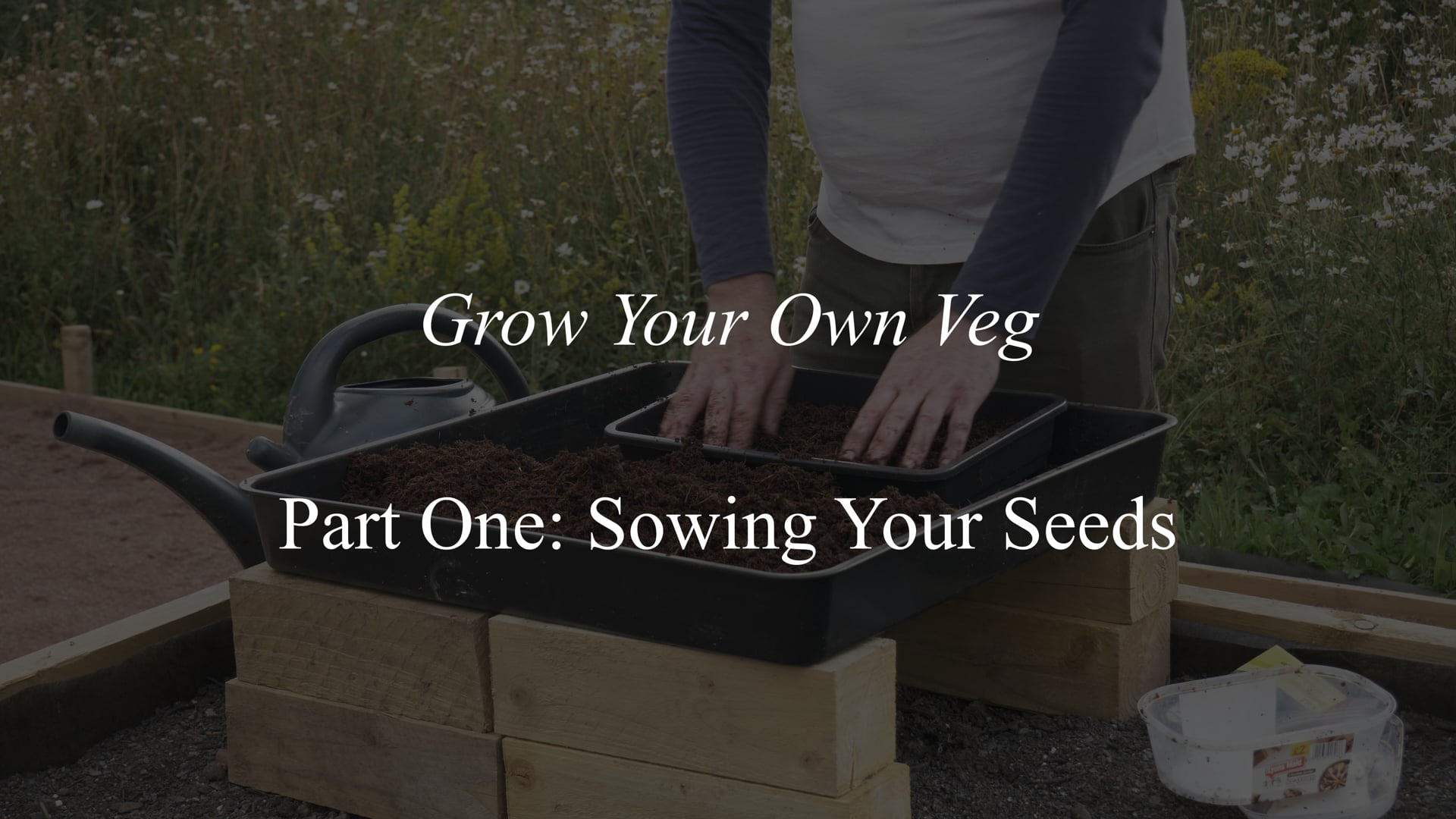 Grow Your Own Veg - pt1 Sowing Your Seeds