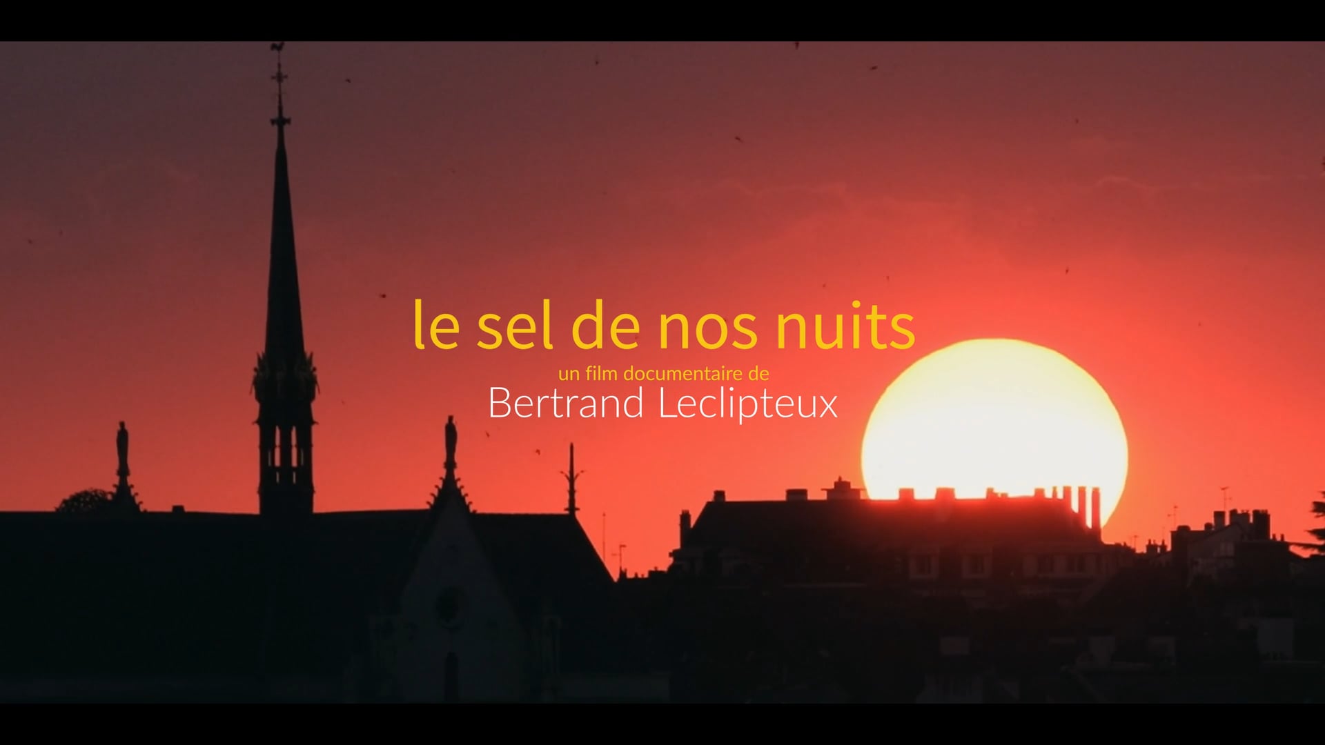 Le sel de nos nuits - bande annonce