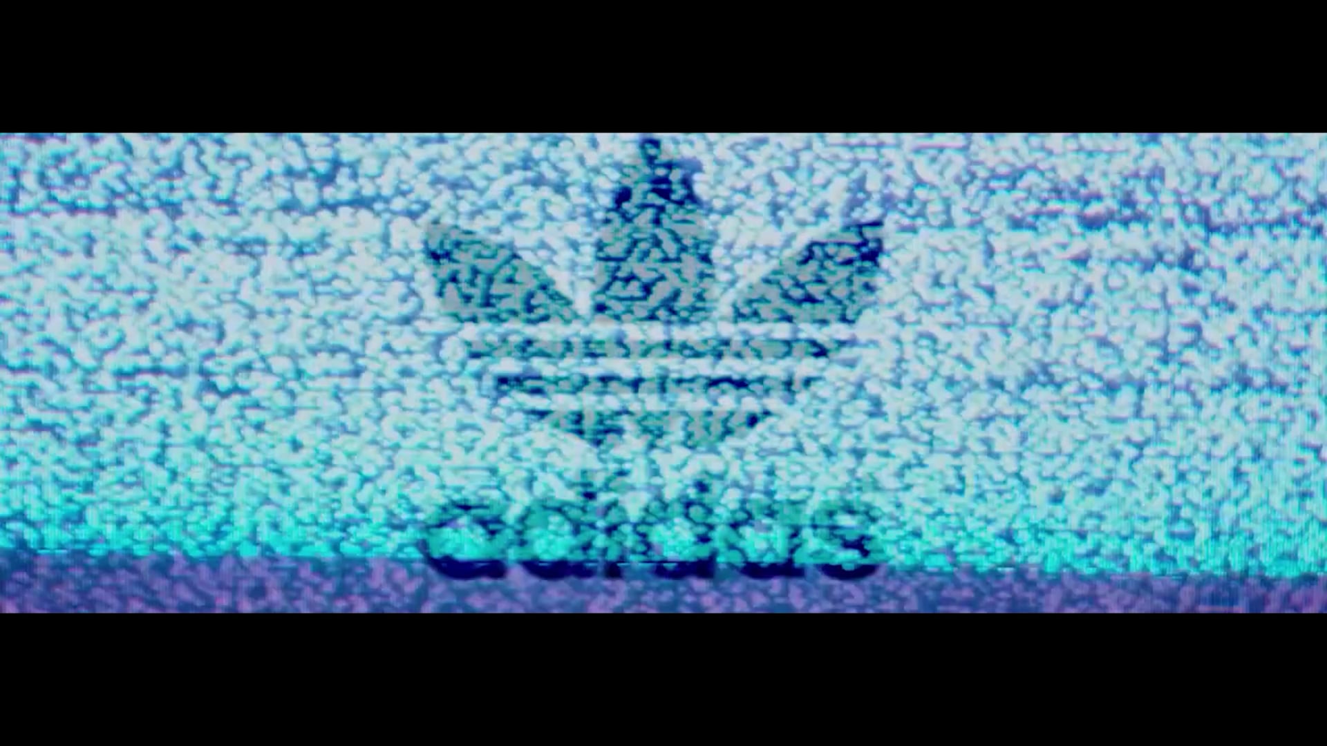 Adidas Spec - Dir. Brett Schmidt