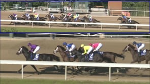 By My Standards | 2020 Oaklawn Handicap (G2) 