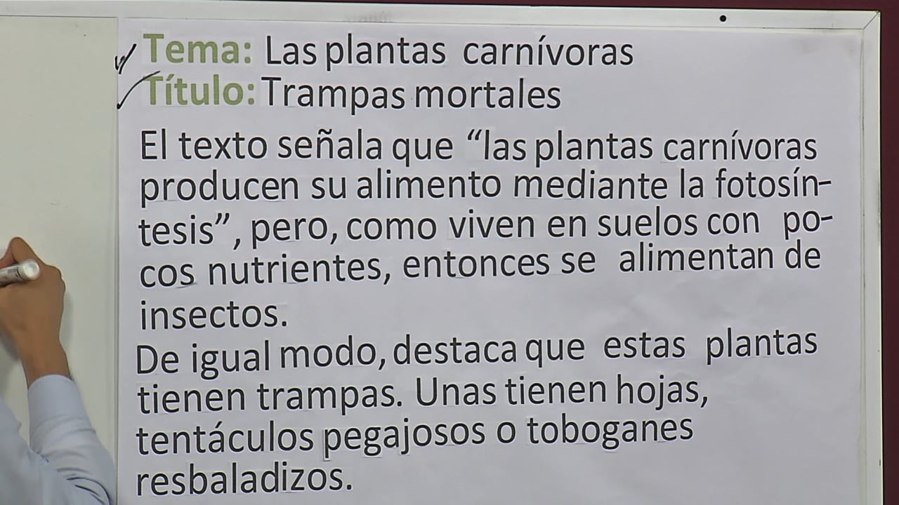 Fichas Temáticas