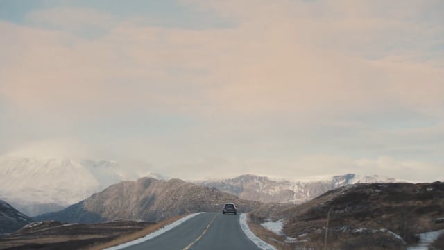 Video preview