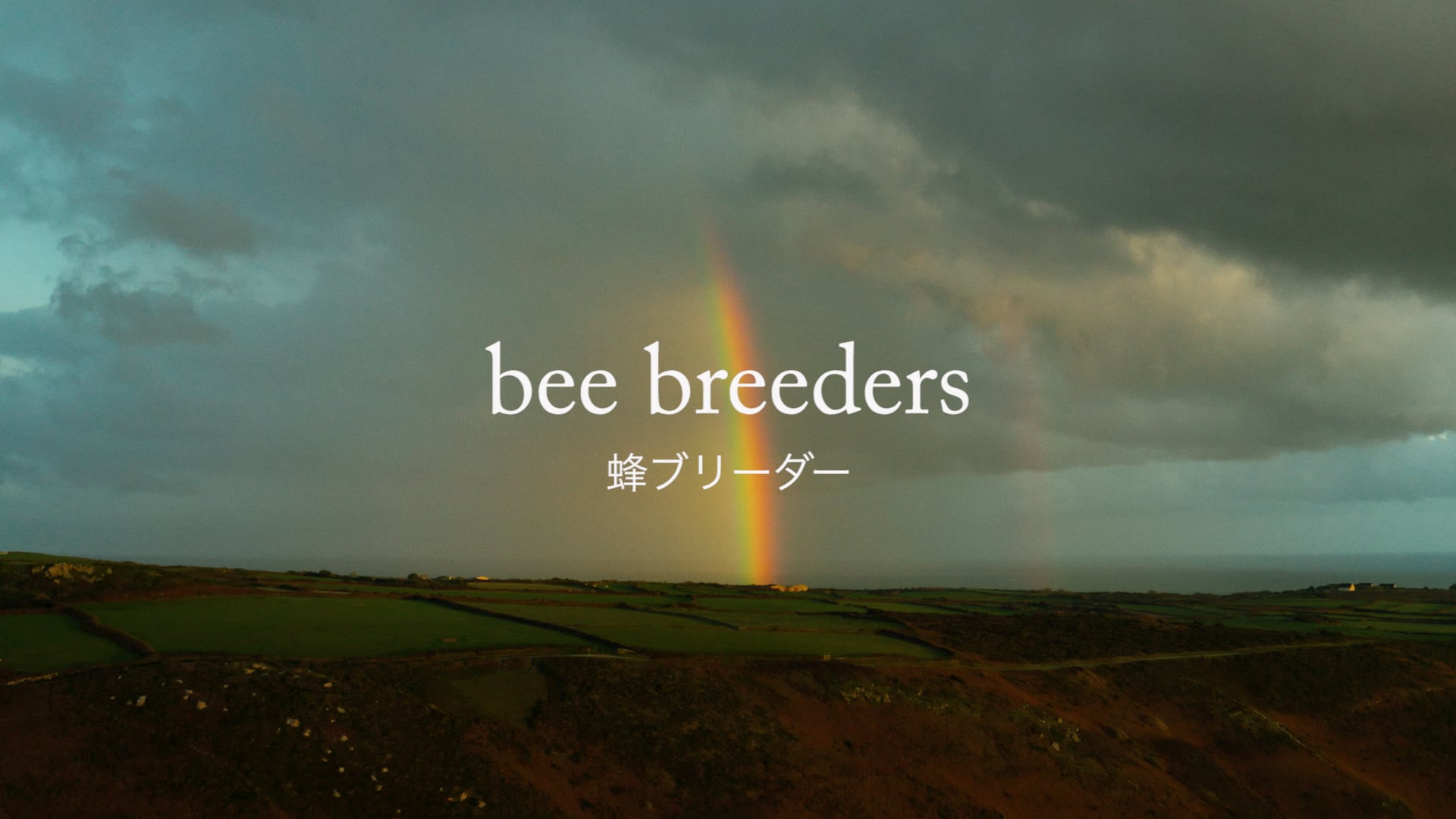 bee breeders
