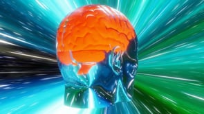 brain, head, mind