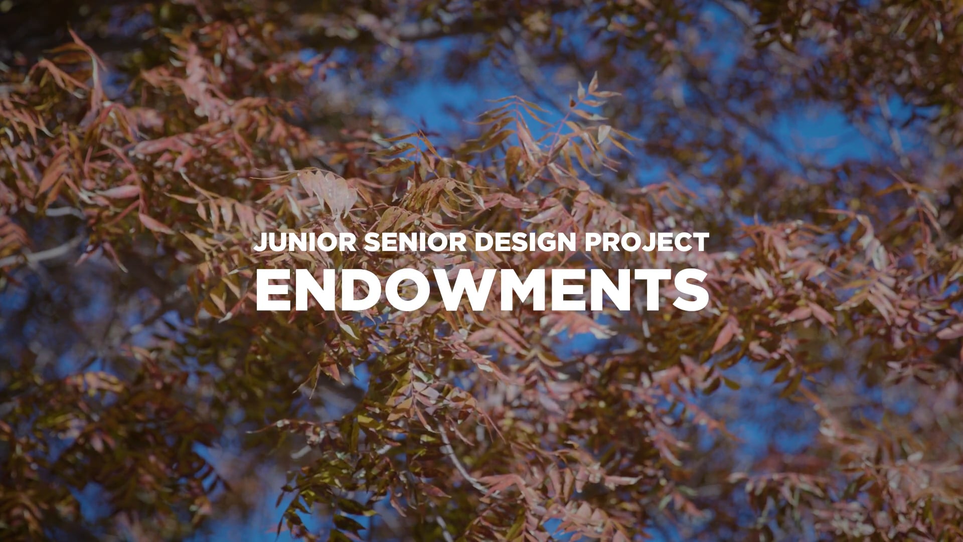 NMT Junior Senior Design Project Endowments