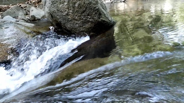 Water Flow Waterfall Rock Springs - Free video on Pixabay