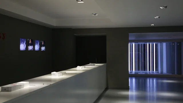 Louis Vuitton - LVX - Treatment Studio