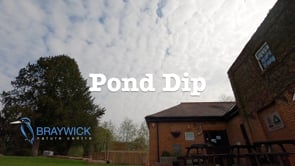 Pond Dip