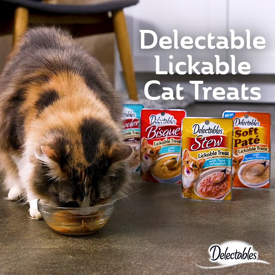 Delectable lickable cat clearance treat