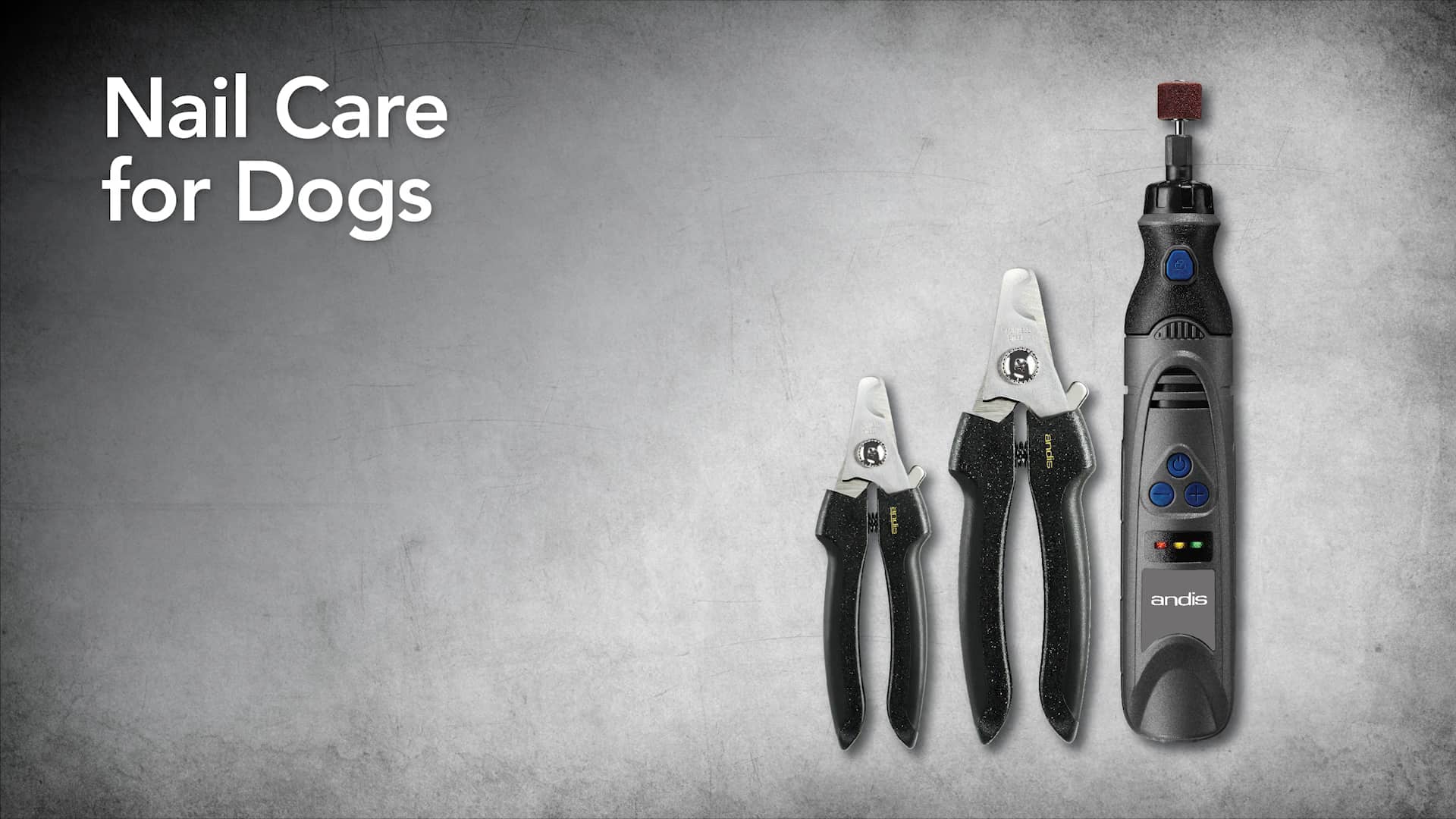 Nail Care for Dogs At Home on Vimeo