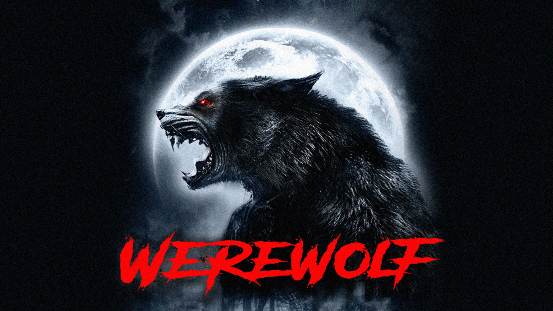 Werewolf - Trailer on Vimeo