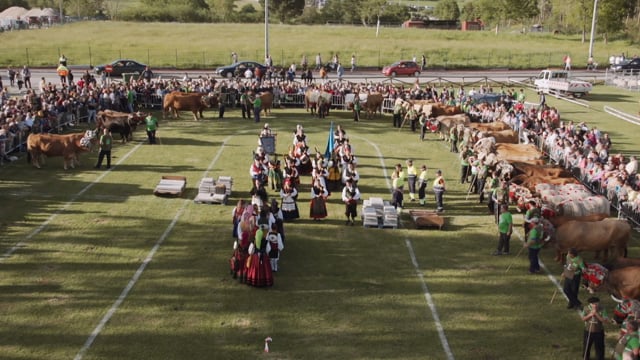 Mensaxe d0 alcalde de Llanera (Asturias) pola cancelación da Feira de San Isidro