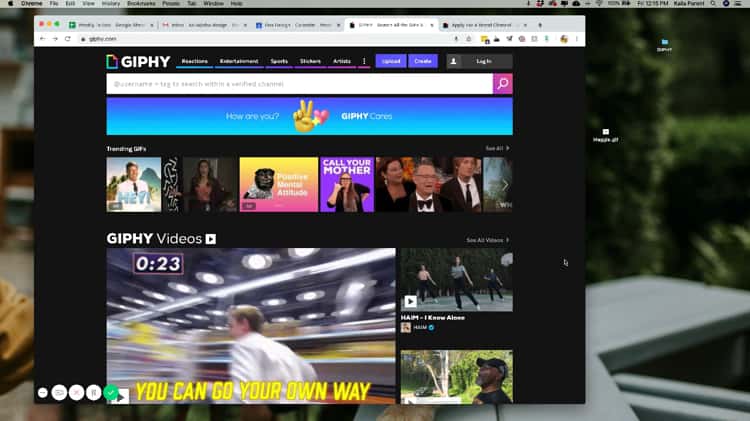 GIPHY  Search All the GIFs & Make Your Own Animated GIF