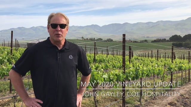 May 2020 Vineyard Update