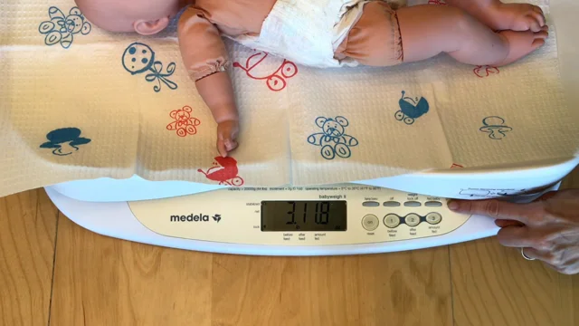 Medela babyweigh hot sale scale