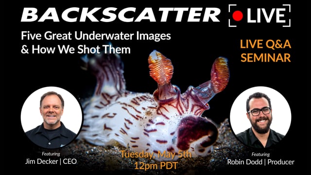 Five Great Underwater Images & How We Shot Them [Recorded LIVE] May 5, 2020
