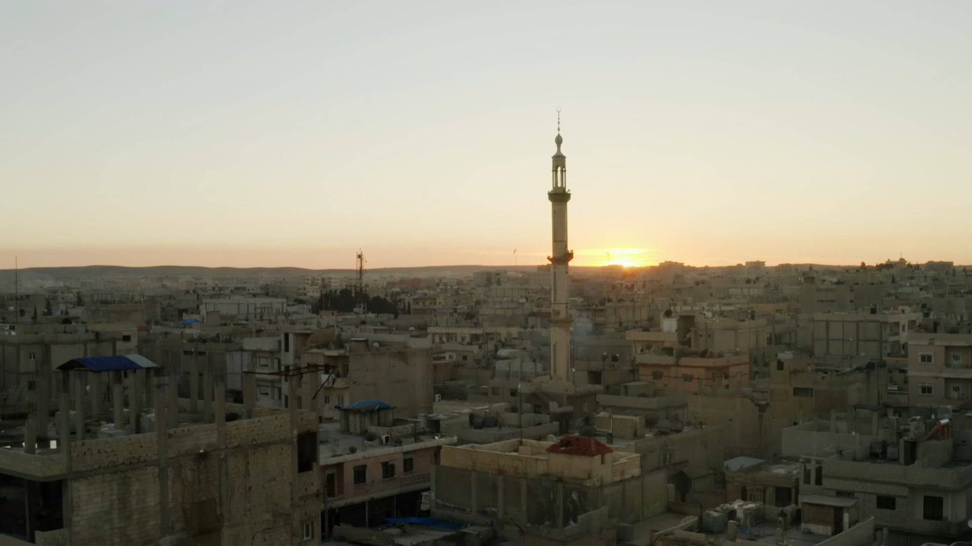 The Oasis