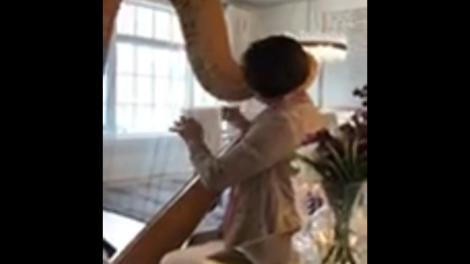 Promotional video thumbnail 1 for Elegant Harp Music for All Occasion