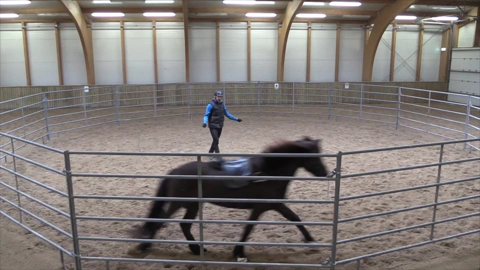 Training the gaits